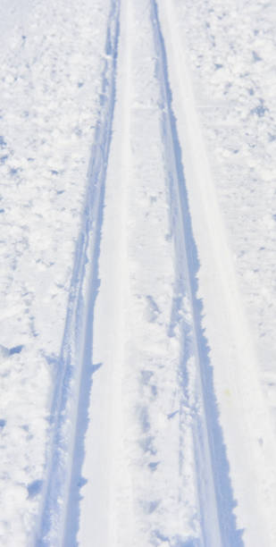 istock Cross country skiing tracks in the winter 922937778