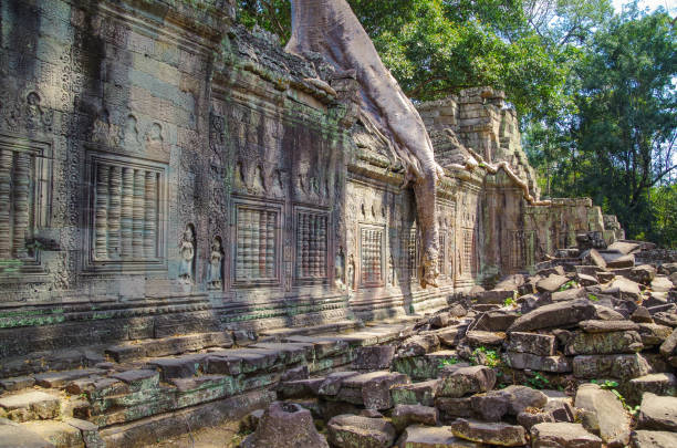 temple at Angkor built in the 12th century Árbol que crece fuera de las ruinas del templo de preah khan. seda – algodón árbol (ceiba pentandra) o thitpok tetrameles nudiflora, con raíces de un spung a lo largo de la galería. angkor - patrimonio de la humanidad. camboya, siem reap