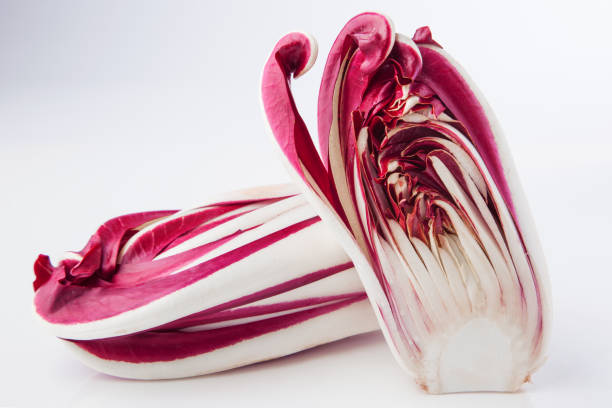 Radicchio Treviso - Wikipedia Radicchio treviso cut in half on gradient white background radicchio tardivo stock pictures, royalty-free photos & images