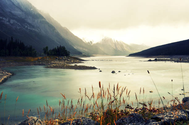 Beautiful landscape with a view over Medicine Lake on a cloudy day. Grasses are turning into autumn colors in late summer.