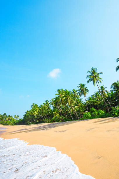 istock Beautiful beach on tropical island 922961670