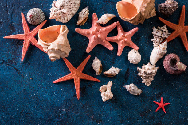istock Red starfish and sea sells frame with space on dark blue old background. 922962098