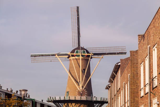 윈드밀 in hellevoetsluis - hellevoetsluis 뉴스 사진 이미지