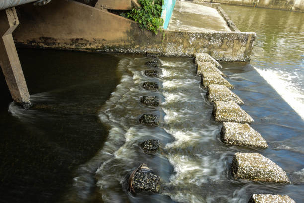 Sewerage and sewerage, industrial and urban waste water.