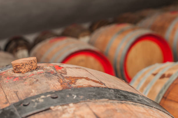 istock Wine Barrels in Wine Cellar, Tuscany, Italy 922968528