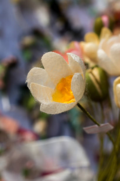istock Plastic fake flowers colourful flowers 922969070