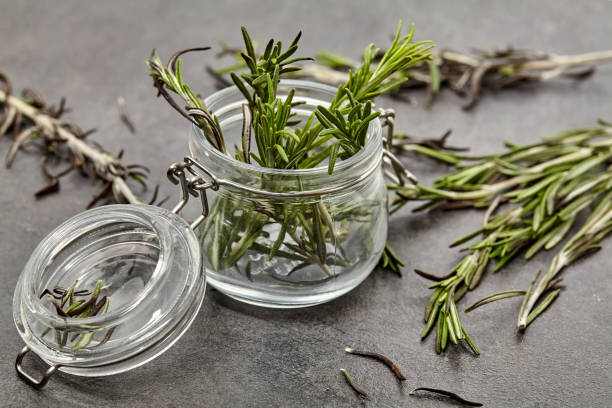 istock Fresh leaf rosemary on background. Close Up view. 922969550