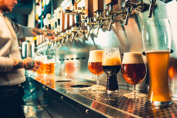 bicchiere di birra con canna, bottiglia e luppolo fresco natura morta - beer bar counter bar drink foto e immagini stock