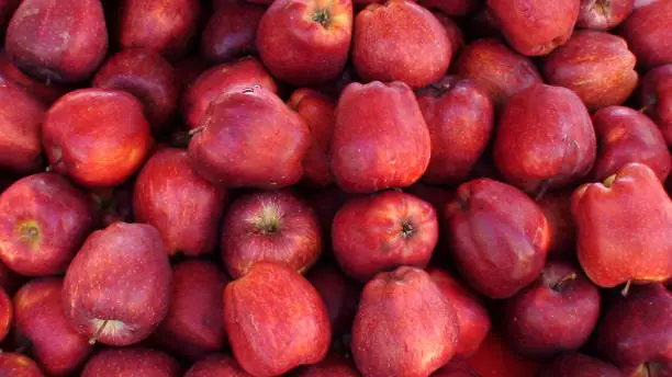 display of red apples on a market