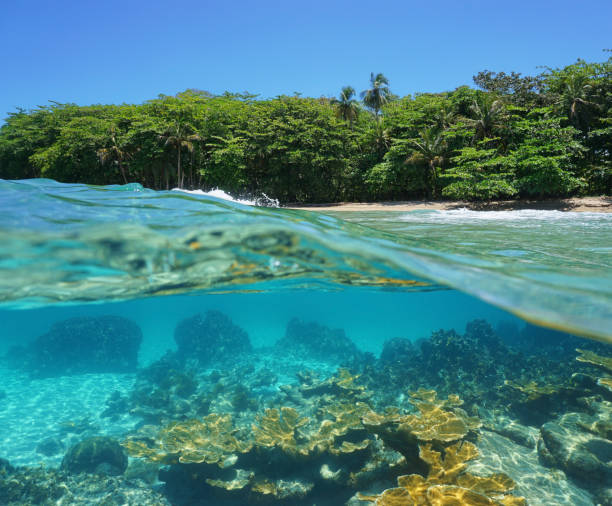 istock Half above and underwater of a tropical shore 922988408
