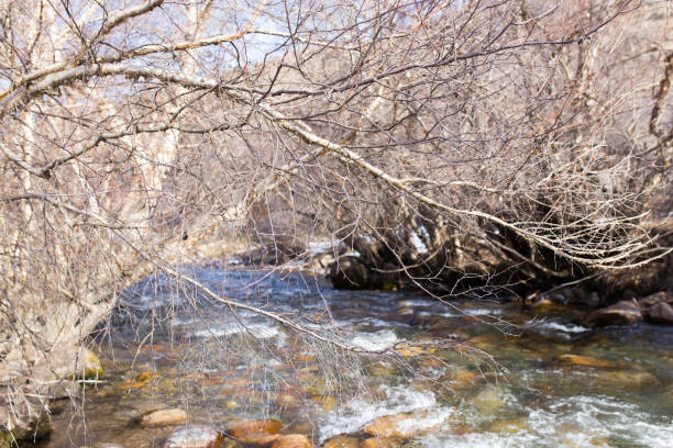 istock mountain river in Kazakhstan in nature 922988430