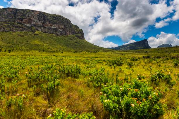 istock Beautiful landscape in a valley 922992844