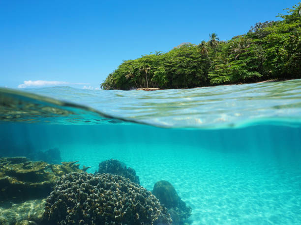緑豊かな熱帯の海岸や水中のサンゴ - 中央アメリカ 写真 ストックフォトと画像