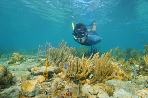istock Man snorkeling underwater looks at the camera 922996240
