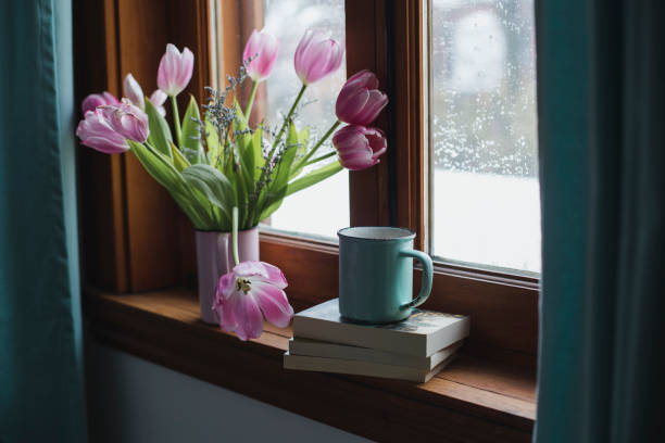 tulips  on a window sill - tulip vase flower spring imagens e fotografias de stock