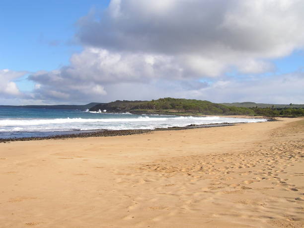 papohaku praia molokai havaí - molokai - fotografias e filmes do acervo