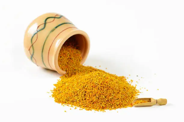 Heap of bee pollen granules, a wooden scoop and an overturned glazed clay pot full of pollen. Selective focus. Closeup.