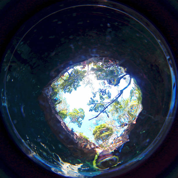 istock Swimming in a cenote 923013552