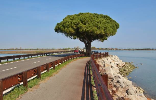 en el puente de grado. italia del norte. - north eastern italy fotografías e imágenes de stock