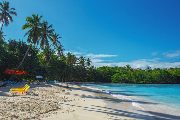 istock beautiful Caribbean beach with white sand and deckchairs 923017622