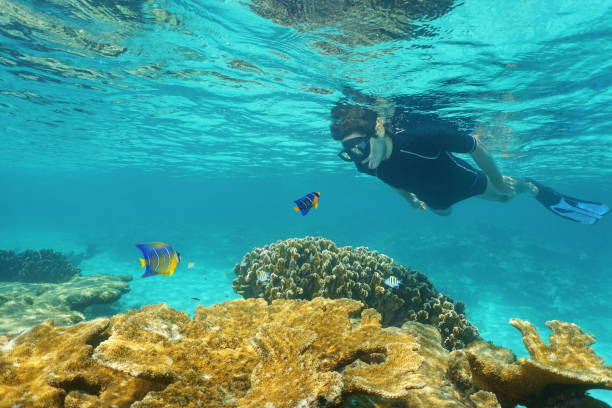 istock Man and small fish looking at each other under sea 923028308