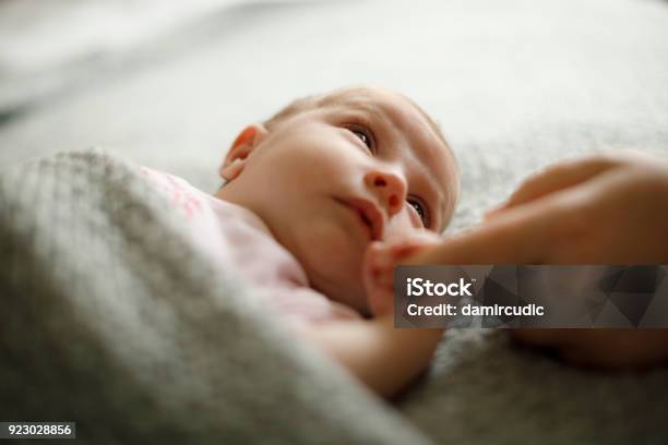 Recién Nacido Bebé Sosteniendo La Madre De La Mano Foto de stock y más banco de imágenes de Bebé - Bebé, Recién nacido - 0-1 mes, Madre