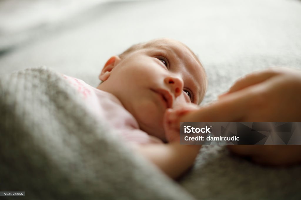 Newborn baby holding mother's hand Baby - Human Age Stock Photo