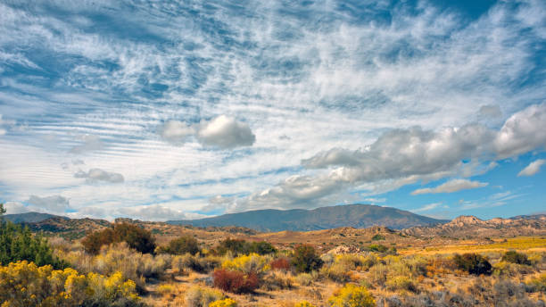 istock Angeles National Forest Summer Day Landscape HDRI 923032684