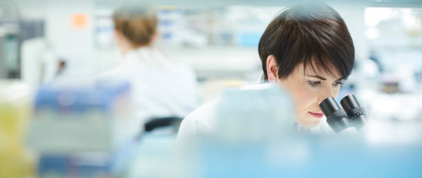 cientista fêmea em um laboratório de pesquisa ocupado - laboratory chemical medicine scientist - fotografias e filmes do acervo