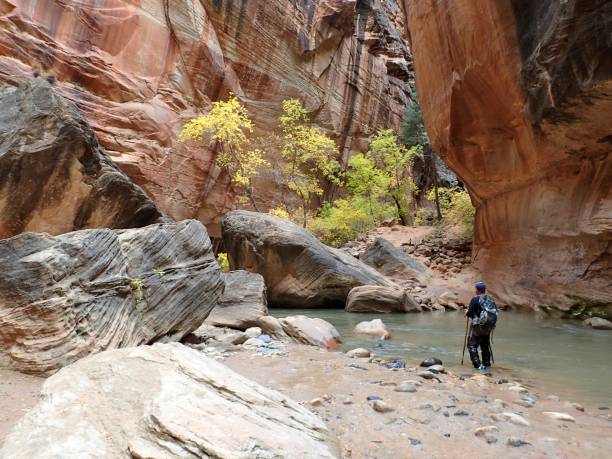 istock The Narrows of Zion 923039654