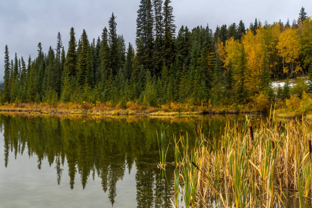 istock Vermillion Lakes, Banff National Park, Alberta, Canada 923042170