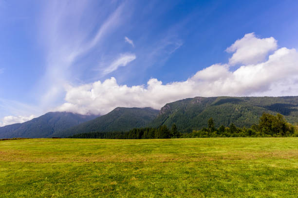 istock blue sky with white clouds and field with green grass in the foreground, forest and mountains in the background 923042628