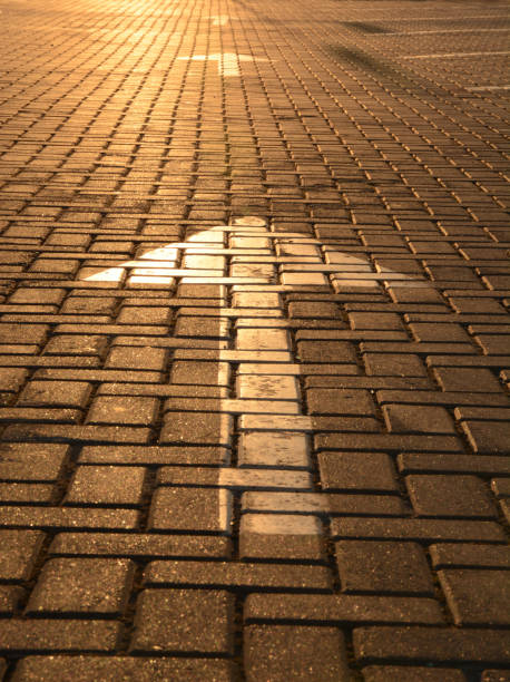 White arrow on a road tile in the rays of the setting sun closeup