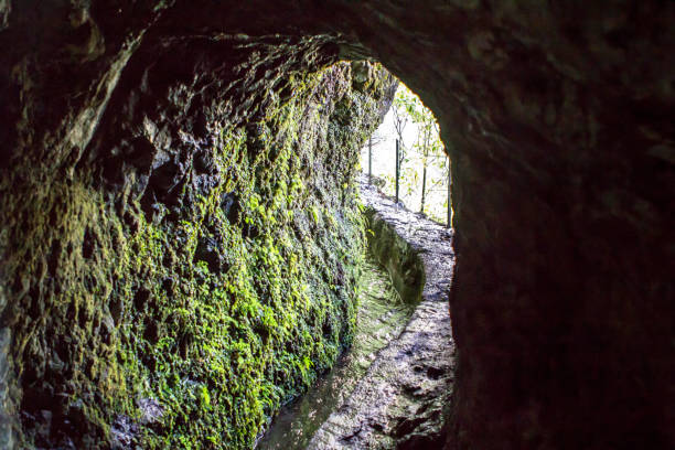 istock Levada of Caldeirao Verde, Madeira 923046010