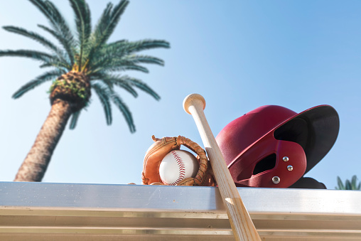 Looking up at a new baseball in a brown leather glove along with a red batting helmet and a wooden baseball bat on an aluminum bench with a palm tree and blue sky in the background for Spring Training.