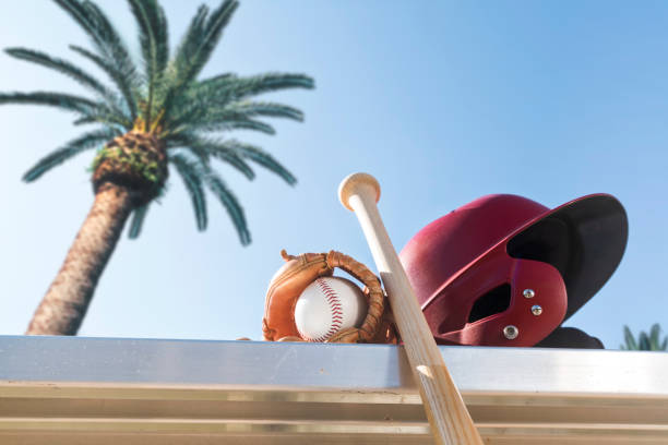 Baseball in glove with bat and batting helmet on bench - Spring Training Looking up at a new baseball in a brown leather glove along with a red batting helmet and a wooden baseball bat on an aluminum bench with a palm tree and blue sky in the background for Spring Training. spring training stock pictures, royalty-free photos & images