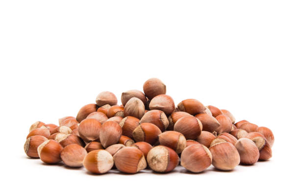 istock Hazelnuts. Food background, photo wallpaper. 923052560
