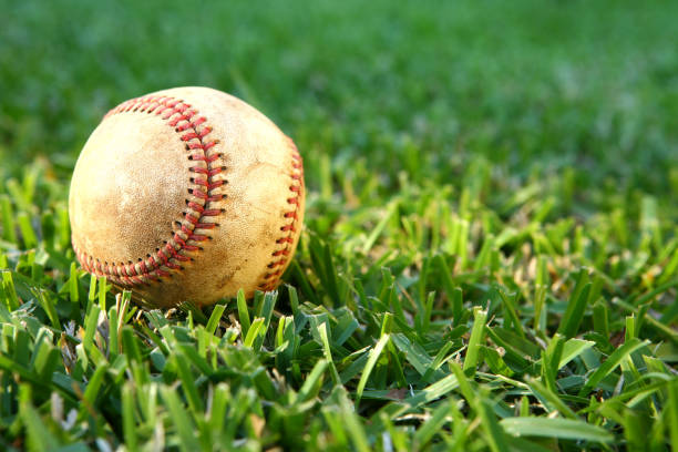 istock Baseball in the Sun on Green Grass 923053014
