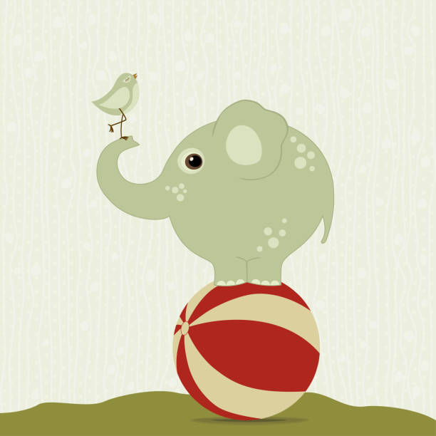 illustrations, cliparts, dessins animés et icônes de éléphant sur le ballon avec un oiseau - vector elephant isolated on red female animal