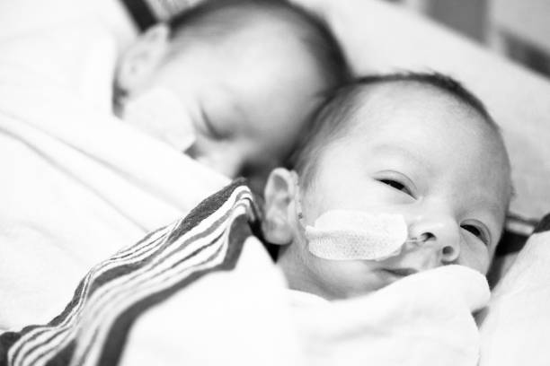 Identical twin baby boys sleeping on white - monochrome stock photo