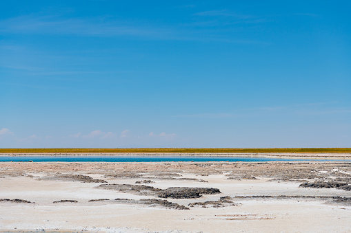 Salty lagoon, Atacama desert