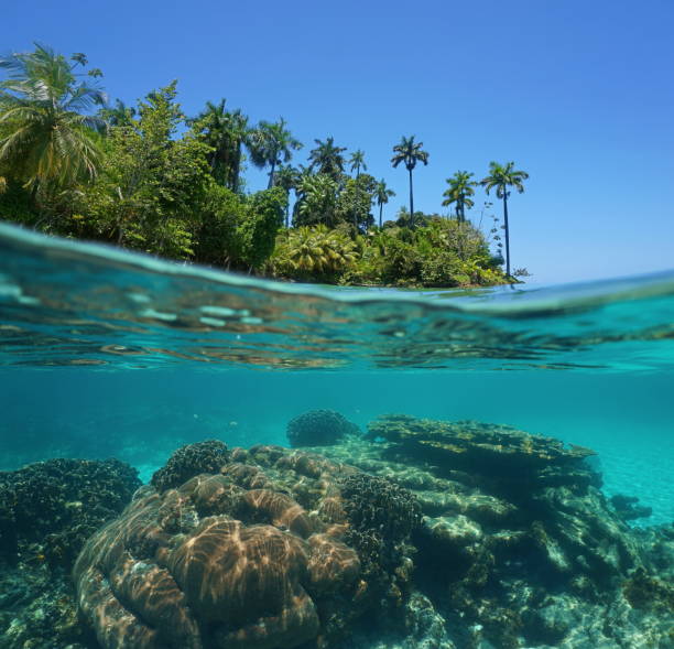 istock Split shot of tropical island and coral reef 923058704