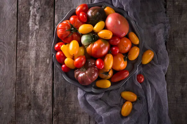 Colorful tomatoes, red , yellow, orange , green,black tomatoes. autumn background. vintage wooden background