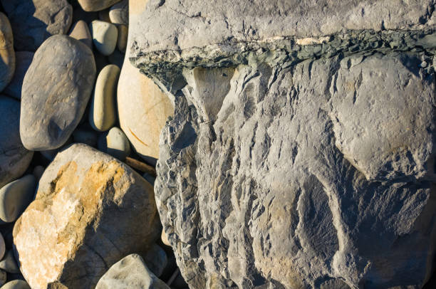 istock boulders and colorful pebbles on the beach 923059196