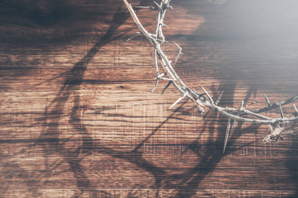 istock Unedited Crown of Thorns on table 923059330