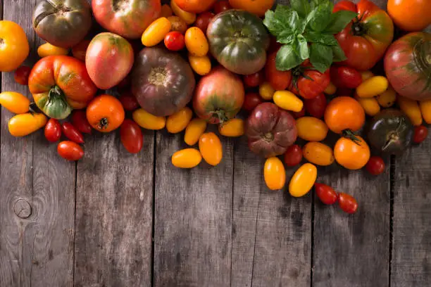 Colorful tomatoes, red , yellow, orange , green,black tomatoes. autumn background. vintage wooden background