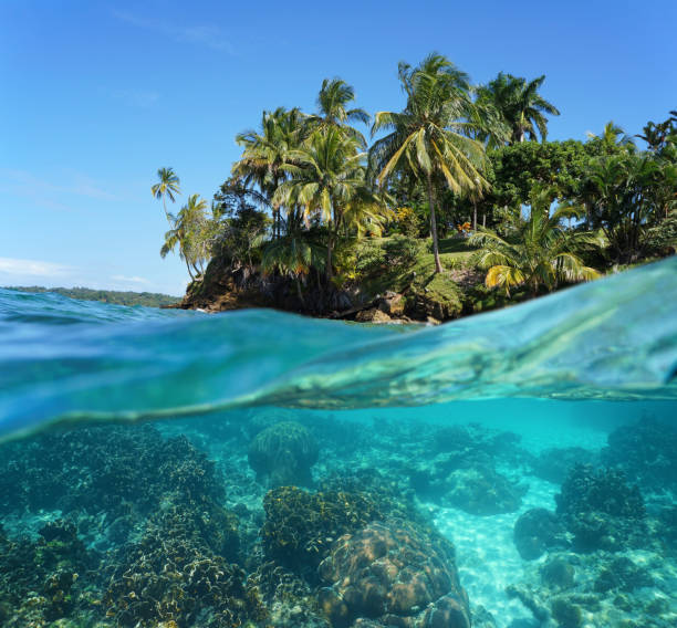 istock Tropical island with corals underwater 923062296