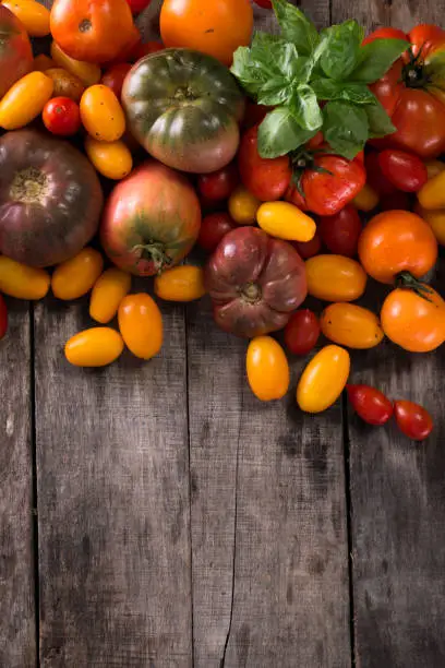 Colorful tomatoes, red , yellow, orange , green,black tomatoes. autumn background. vintage wooden background