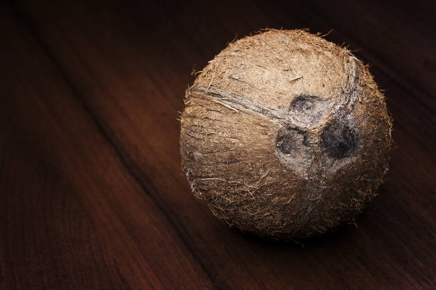 istock Coconut on a wooden background. 923079094