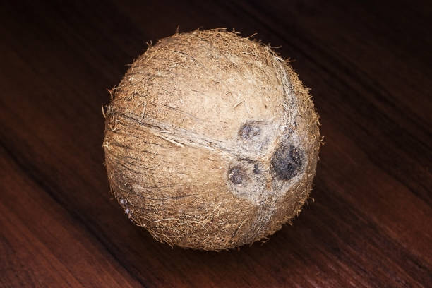istock Coconut on a wooden background. 923079160